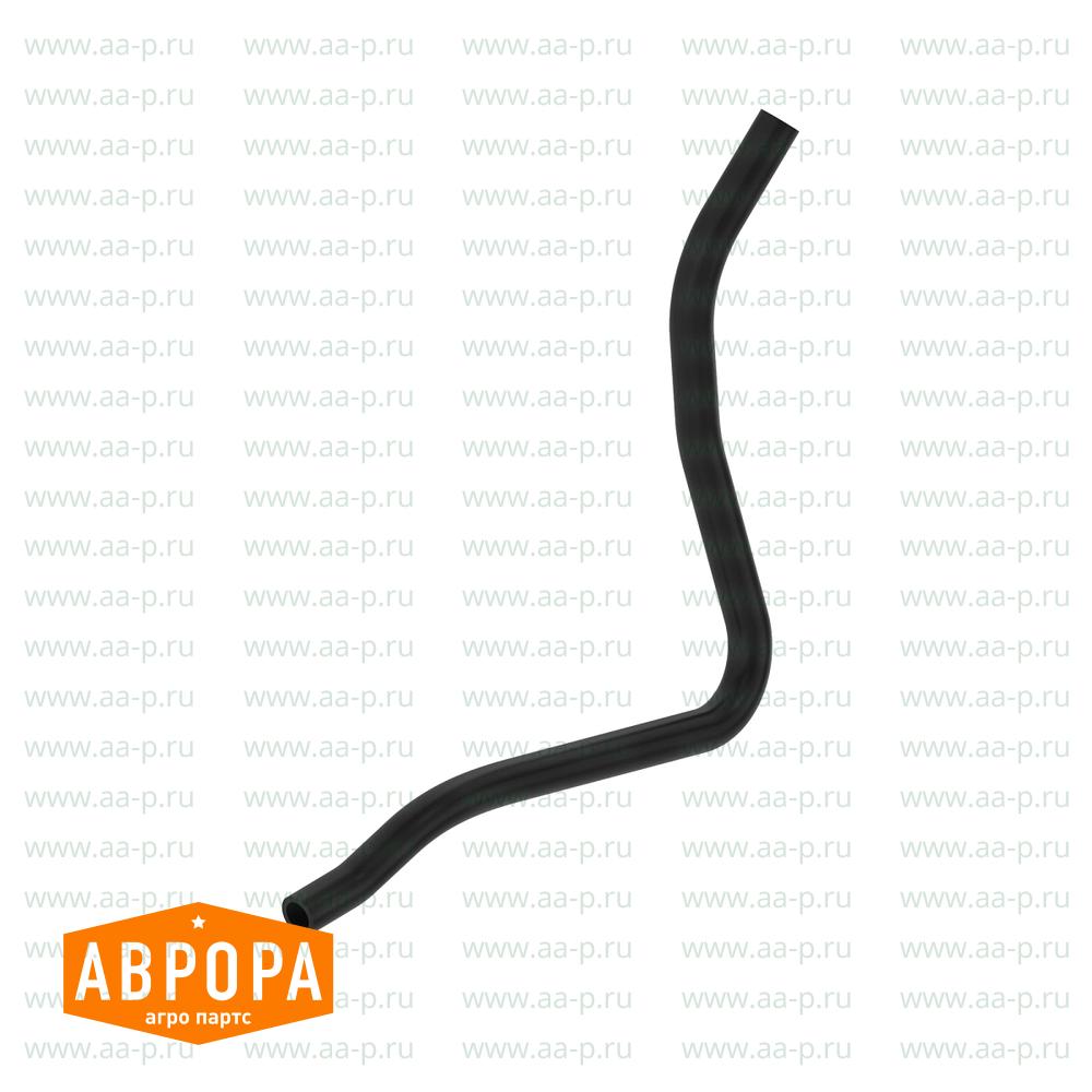 Arm